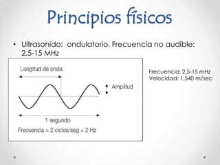 Principios B Sicos De Ultrasonido Ppt