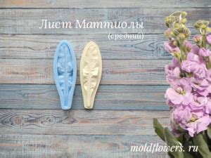 молды для цветов и фоамирана Moldflowers 🌿 Молды и вайнеры для ...