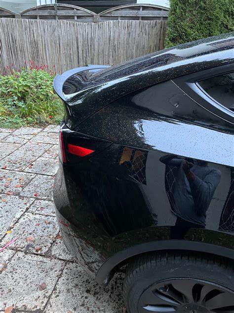 Sinnvolles Zubehör für Model Y Teil 1 3708 von Curacao Model Y