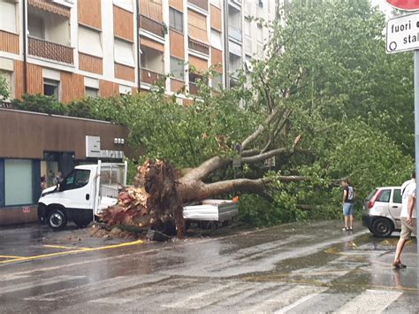 Asti Durante Il Temporale Albero In Centro Cade Su Furgone E Sei Auto