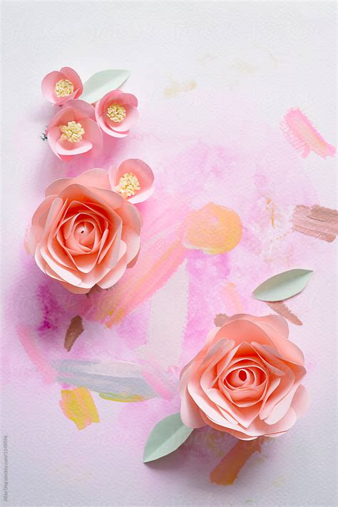 Paper Flowers By Stocksy Contributor Alita Stocksy