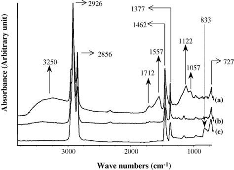 Atr Ftir Spectra 3800 685 Cm −1 Of A E 1 Csa 12 B E 1 Sa 12 And Download Scientific