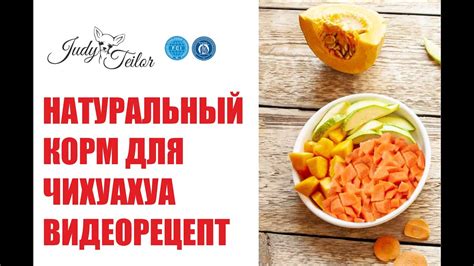 Чем кормить чихуахуа? Рецепт натурального корма для чихуахуа ...