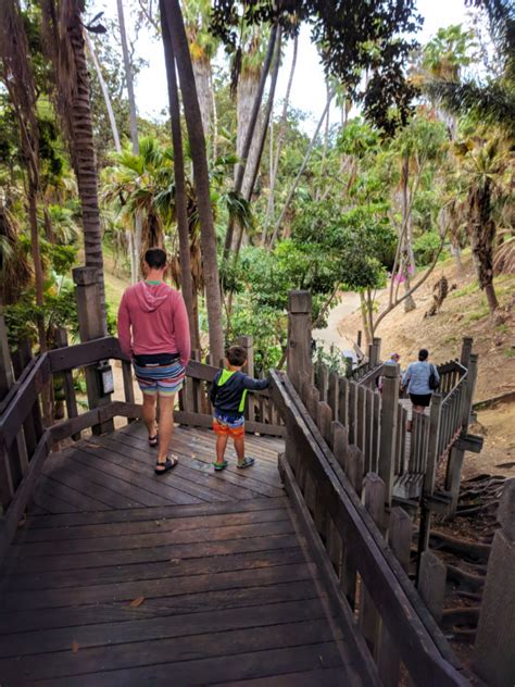 Are Dogs Allowed In Balboa Park Hiking Trails