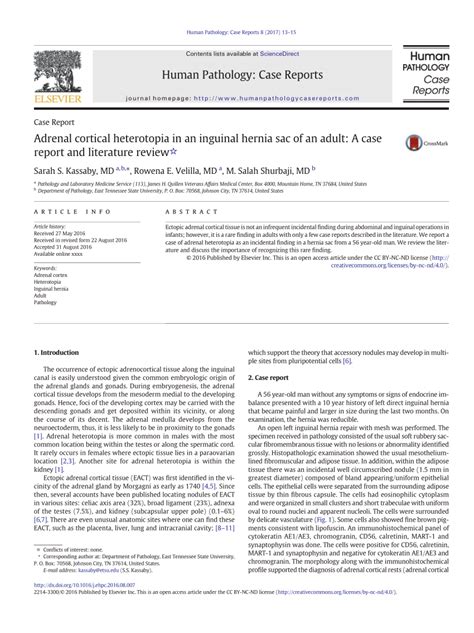 Pdf Adrenal Cortical Heterotopia In An Inguinal Hernia Sac Of An