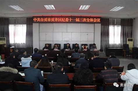 区纪委会召开十一届三次全体会议专题审议通过区纪委工作报告