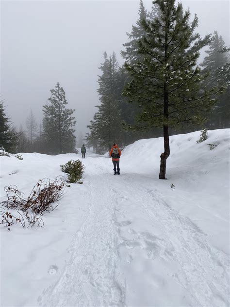 Wenatchee Ridge Snowshoe Lake Wenatchee Area — Washington Trails