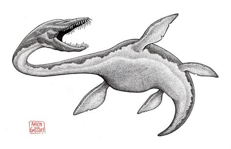 Elasmosaurus By Aaronjohngregory On Deviantart