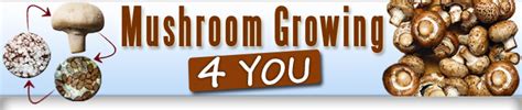 Mushroom Growing 4 You Review Is It Legit Legit Or No Reviews