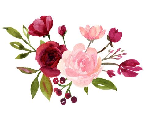 Blush And Burgundy Flowers Watercolor Clipart Collection Burgundy