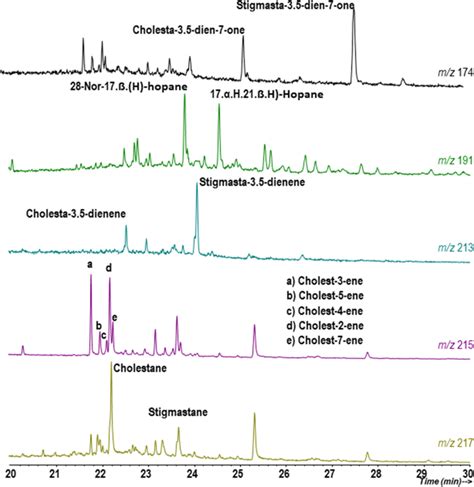 Ion Chromatograms For Steranes M Z Diasteranes M Z M Z