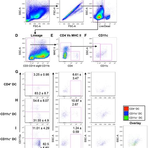 Facs Purification Of Peripheral Blood Dc Subsets Schematic Diagram Of