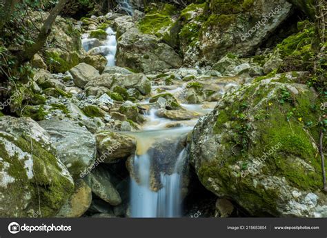 Forest Creek Waterfall — Stock Photo © theatre-nf #215653854