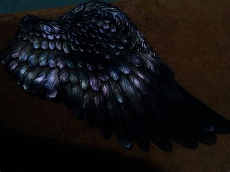 Gothic Angel Wings Raven Colors Iridescent 1 Pair Etsy