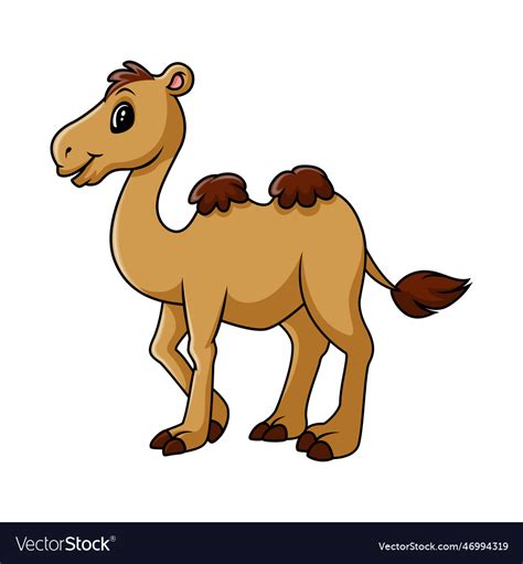 Cartoon Funny Camel Smile And Standing Royalty Free Vector