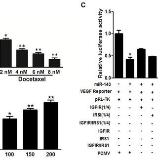 Igf Ir And Irs Were Two Key Downstream Targets Of Mir To Inhibit