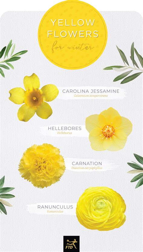 Yellow Flower Pictures With Names | Best Flower Site