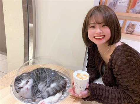 大阪初出店！約25頭のネコたちと癒しの時間を！ネコカフェ『cat Café Moff 天王寺ミオ店』がopen！【3 3】 大阪ミナミじゃーなる