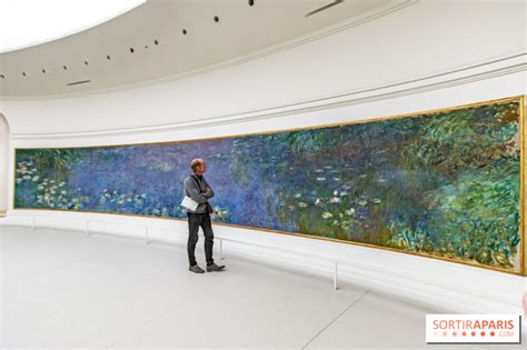 Les Nymphéas L abstration américaine et le dernier Monet au Musée de l