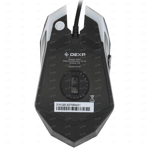 DEXP