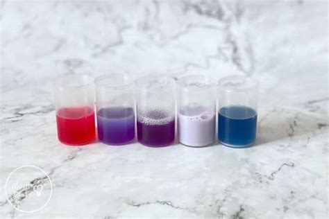 Red Cabbage Indicator Science Experiment | Mombrite