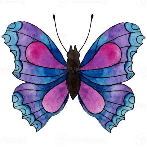 Watercolor Butterfly Clip Art Element Transparent Background 24628801 PNG