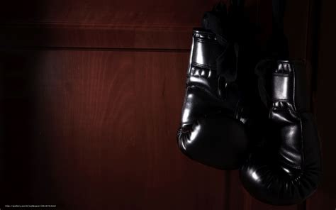 🔥 [80+] Boxing Gloves Wallpapers | WallpaperSafari