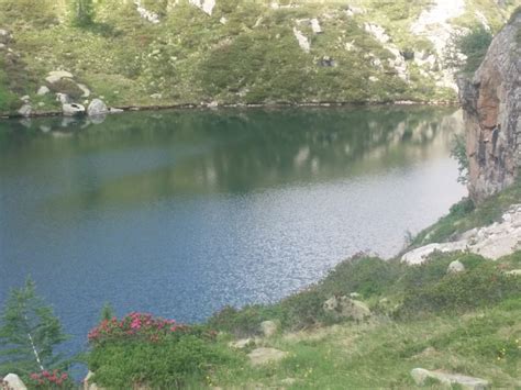 Passo Del Tonale Estate Vacanze In Trentino Estate 2018 Hotel Gardenia