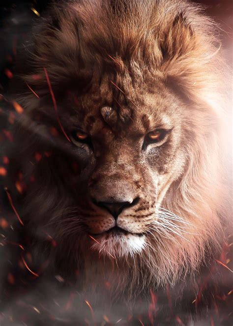 Angry Lion Art Wallpapers Top Free Angry Lion Art Backgrounds