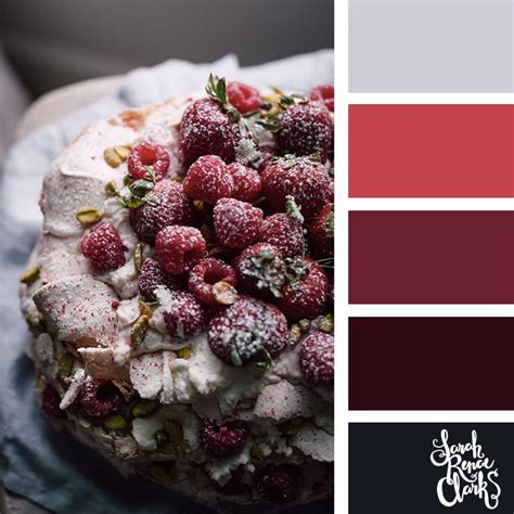 Winter Color Palettes Inspiring Color Schemes By Sarah Renae Clark