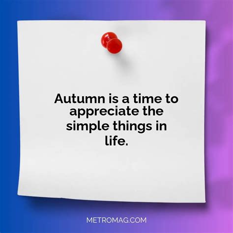 [UPDATED] Nature Captions - 457+ Cozy Quotes for Autumn Instagram Captions - Metromag