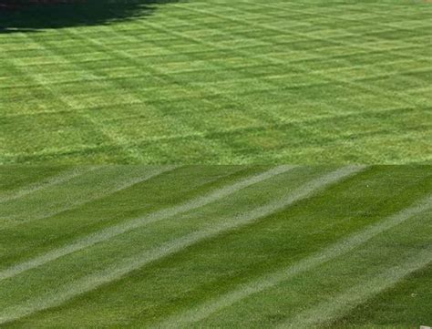 Lawn Striping and Lawn Patterns | Scag Power Equipment