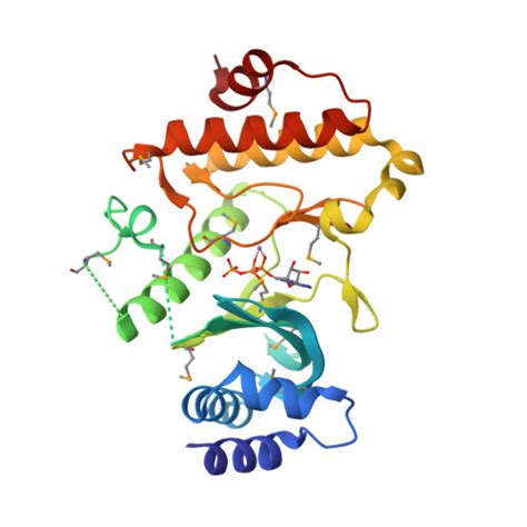 Rcsb Pdb Zp Crystal Structure Of Full Legnth A Fulgidus Rio