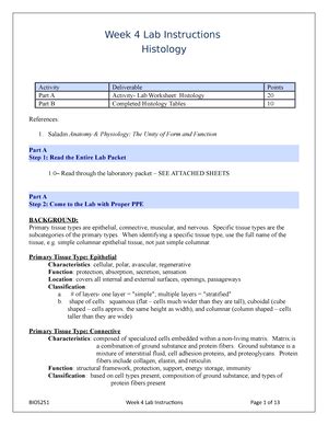 Final Labs Bio Online Labs Bios Week Lab Report Brain Cn Ans