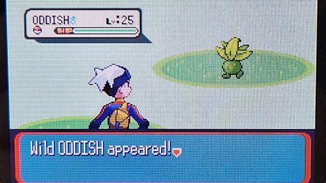 Pre Safari Week 2024 6th Shiny Oddish In The Hoenn Safari Zone Win