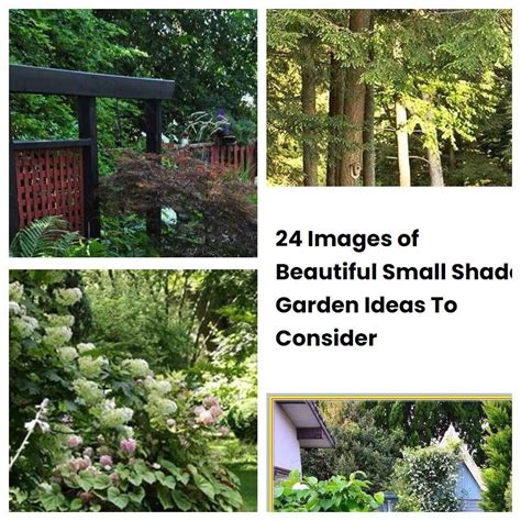 24 Images Of Beautiful Small Shade Garden Ideas To Consider Sharonsable