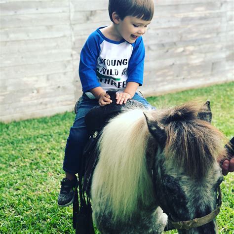 pony ride birthday party 4