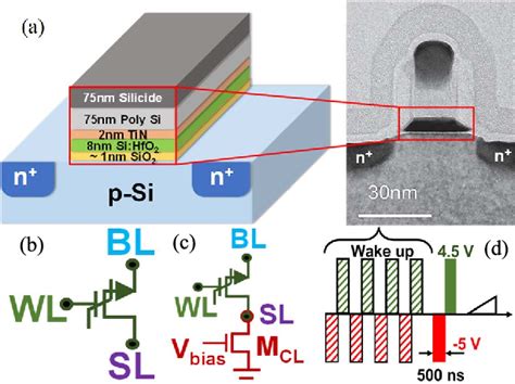 A Schematic Representation With Tem Image Of The Fefet Cell