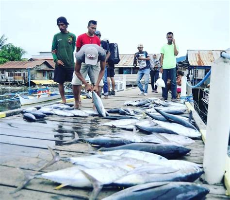 Produksi Perikanan Tangkap Laut Di Maluku Utara Meningkat