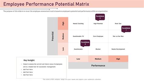 Employee Performance Potential Matrix Best Employee Award