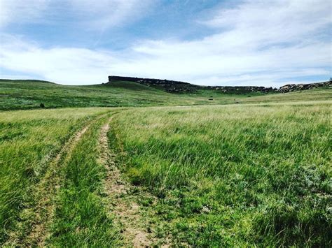 Golden Gate Grasslands Preservation In South Africa