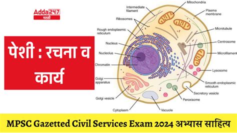 Cells Structure And Function Mpsc Gazetted