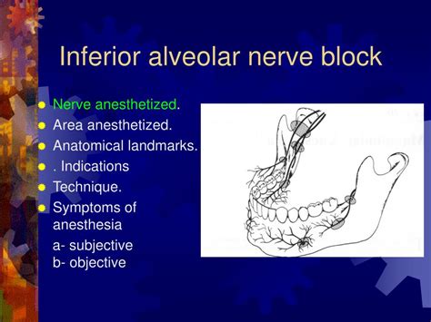 Inferior Alveolar Nerve Block Anatomical Landmarks