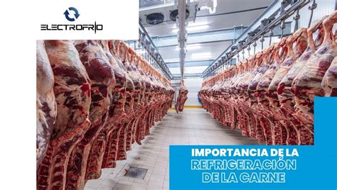 Importancia De Refrigeraci N De La Carne Electrofr O