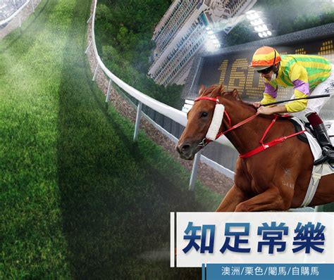 參賽馬匹 香港經典一哩賽 四歲馬經典賽事系列 香港賽馬會