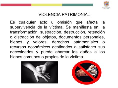 TIPOS Y MODALIDADES DE VIOLENCIA Pptx