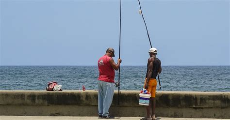 La nueva Ley cubana de Pesca prevé recortar el número de licencias de