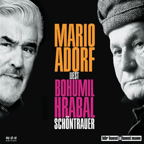 Schöntrauer Audiobook by Bohumil Hrabal Spotify