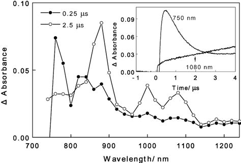 Nanosecond Transient Absorption Spectra Observed By The Laser