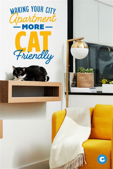 Cat-Friendly Apartments: Making the Most of a Small Space | Pet friendly apartments, Small ...